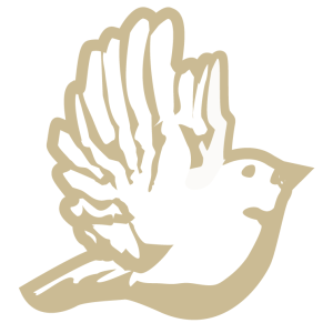 Animals Birds and Insects